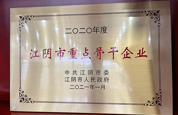 江陰市重點(diǎn)骨干企業(yè)